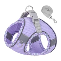 Outdoor Walking Pincher Dog Harness and Leash Set for Small Medium Dogs Chihuahua Mascotas Vest Harnesses Pomerian Accessories