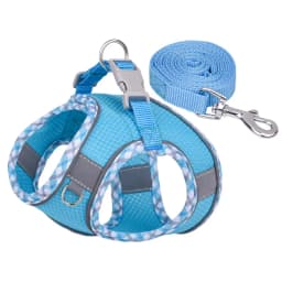 Outdoor Walking Pincher Dog Harness and Leash Set for Small Medium Dogs Chihuahua Mascotas Vest Harnesses Pomerian Accessories
