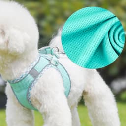 Outdoor Walking Pincher Dog Harness and Leash Set for Small Medium Dogs Chihuahua Mascotas Vest Harnesses Pomerian Accessories