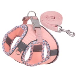 Outdoor Walking Pincher Dog Harness and Leash Set for Small Medium Dogs Chihuahua Mascotas Vest Harnesses Pomerian Accessories