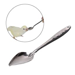 1PC 10/20ml Parrot Feeding Syringe Hose Parrots Bird Feeders Syringe High Quality Bird Feeder Balcony Syringe Hose Needle
