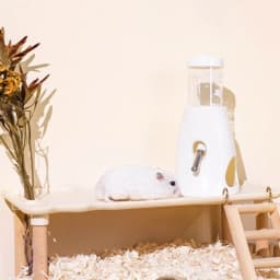 Non Slip Standable Hamster Automatic Water Dispenser Bottle Dispenser Leak-proof Double Ball Design Feeding Kettle