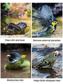 Mirrored Bird Bath Pet Cage Bath Basin Parrot Bath Basin Parrot Shower Supplies with Mirror Bird Cage Accessories Pet Toys