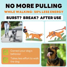 Dog Prong Collar Adjustable Dog Training Pinch Collar with Quick Release Buckle for Small Medium Large Dogs Train Explosion