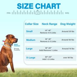 Dog Prong Collar Adjustable Dog Training Pinch Collar with Quick Release Buckle for Small Medium Large Dogs Train Explosion