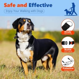 Dog Prong Collar Adjustable Dog Training Pinch Collar with Quick Release Buckle for Small Medium Large Dogs Train Explosion