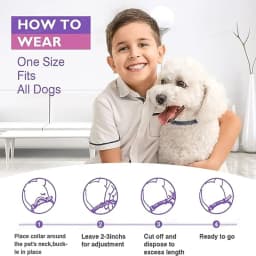 New Release 3/4 Pc Dog Calming Collar Cat Relieve Anxiety Protection Retractable Collars For Puppy Kitten Large Dogs Accessories