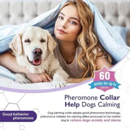 New Release 3/4 Pc Dog Calming Collar Cat Relieve Anxiety Protection Retractable Collars For Puppy Kitten Large Dogs Accessories