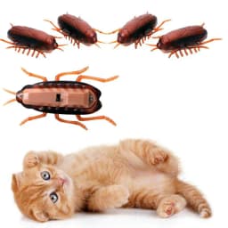1-10Pcs Funny Electronic Pet Interactive Play Toy For Cats Eletric Running Cockroach Pet Dog Cat Interactive Toy Battery Powered