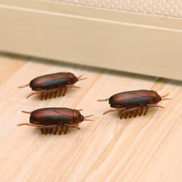 1-10Pcs Funny Electronic Pet Interactive Play Toy For Cats Eletric Running Cockroach Pet Dog Cat Interactive Toy Battery Powered