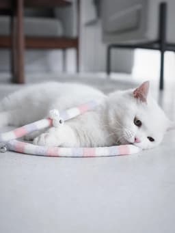 Cat Toy Feather Cats Teaser Wand Cats Interactive Toy Funny Caterpillar Colorful Rod Teaser Wand Pet Cat Supplies Pets Accessory
