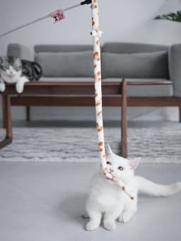 Cat Toy Feather Cats Teaser Wand Cats Interactive Toy Funny Caterpillar Colorful Rod Teaser Wand Pet Cat Supplies Pets Accessory