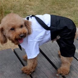 Stylish Dog Tuxedo Suit Prince Wedding Costume White Black Formal Clothes with Bowtie Puppy Jumpsuit for Small Dogs