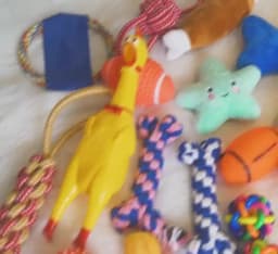 Dog Toys Pet Ball Bone Rope Squeaky Plush Toys Kit Puppy Interactive Molar Chewing Toy for Small Large Dogs Pug Supplies