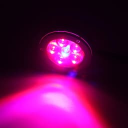 Nano Glo Refugium Aquarium Sump LED High Powered Chaeto Grow Light 6x3W Red Blue Spectrum With Adjustable Clip