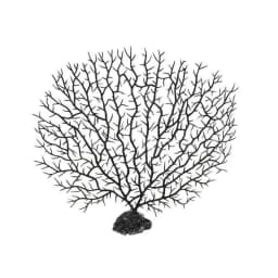 Aquarium Plants Decoration Tree Shape Plastic Resin Coral Fishing Tank Landscaping Omanments