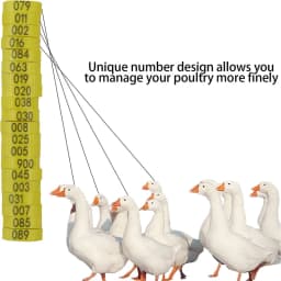 10-50PCS High-quality Chicken Foot Ring 6 Colors Numbered Identification Leg Rings Clip for Poultry Chickens Ducks Geese Parrot
