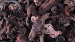 Natural Tree Trunk Aquarium Decoration Wood Artwork Decor Driftwood Branches Landscaping Ornaments Fish Tank Decor Supplies