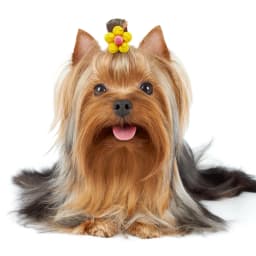 10/20pcs Flower Dog Hair Bows Handmade Dog Bow Plaid Mix Colors Cat Hair Bowknot Rubber Bands for Small Dogs Grooming Supplies