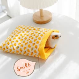 Cartoon Flower Santa Claus Guinea Pig Sleeping Bags Soft Cotton Hedgehog Rat Cage Pet Rest House Hut Tent Hamster Accessories