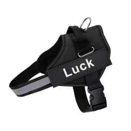Dropshipping Dog Harness Vest ID Patch Customized Reflective Breathable Adjustable Pet Harness For Small Large Dogs NO PULL