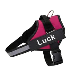 Dropshipping Dog Harness Vest ID Patch Customized Reflective Breathable Adjustable Pet Harness For Small Large Dogs NO PULL