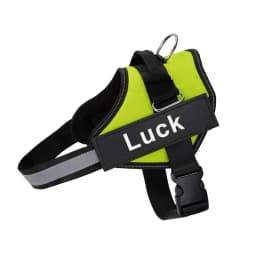 Dropshipping Dog Harness Vest ID Patch Customized Reflective Breathable Adjustable Pet Harness For Small Large Dogs NO PULL