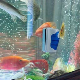 Fish Tank Glass Scraper Cleaner Floating Aquarium Cleaner Super Magnetic Clean Brush Aquarium Cleaning Tools Aquarium Tank