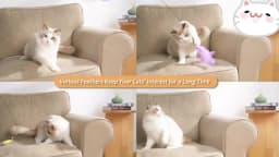 Cats Toys Feathers Wand Interactive Toy Kitten Toys with Super Suction Cup Detachable 2 PCS Feather Replacements Cat Accesorios