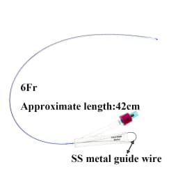 Pet Dog Canine Foley Catheter Long Time Indwelling 2-way Urinary Silicone Male Dog Relieve Urethral Obstruction With Stylet 5PCS