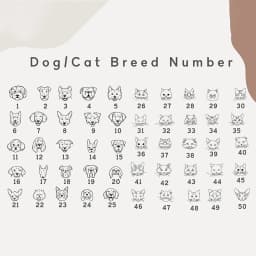 Non-Slip Pet Feeding Mat, Custom, Waterproof, Personalized, Dog, Cat Food Placemat with Name, Easy Washing, PU