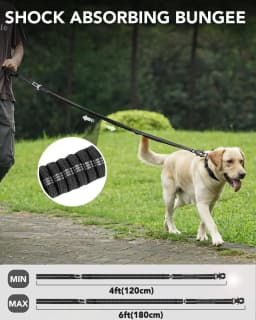 Heavy Duty Dog Leash with Elastic Bungee, Shock Absorption, Safety Clip Included, Medium and Large Dogs