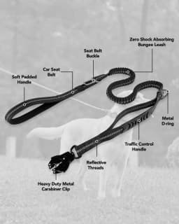 Heavy Duty Dog Leash with Elastic Bungee, Shock Absorption, Safety Clip Included, Medium and Large Dogs