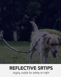 Heavy Duty Dog Leash with Elastic Bungee, Shock Absorption, Safety Clip Included, Medium and Large Dogs