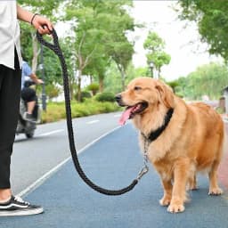 4.5ft Heavy Duty Large Dog Leash Durable Nylon Braided Lead for Small Medium Big Dogs Walking Hunting Camping Pet Accessories
