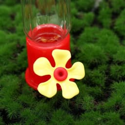 90ML Hummingbird Feeders Portable Transparent Hanging Bird Feeders Removable Lightweight Water Bowl Garden