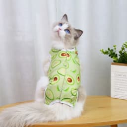 Cat Professional Recovery Suit for Abdominal Wounds or Skin Diseases Spay Suit for Female Cat Neuter Suit for Male Cats