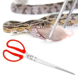 Stainless Steel Reptile Feeder 15 Inches Anti-Skid Feeding Tongs Aquascaping Tools For Hold Worm Steel Reptile Feeding Tong