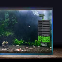 Dual Use Aquarium Fish Tank Filter Sponge Biochemical Cotton Aquarium Filtration Biospong Accessories with Removable Filter Box