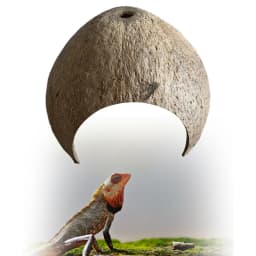 Coconut Shells Hut Reptile Hideouts Shelter Hide Breeding Hermit Ornament House Growth for Aquarium Decor
