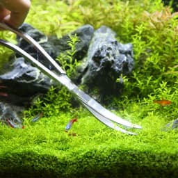 Aquarium Scissors Tweezers Tool Fish Tank Plants Wave Scissors Water Grass Stainless Cleaning Tools Holder Aquarium Accessories