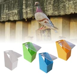 Creative Bird Water Feeder Hanging Poultry Feeder Durable Reliable Household Bird Feeding Trough for Pigeon Birds Budgie Poultry