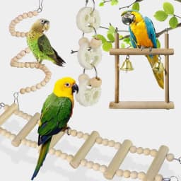 1/8PCS Set Combination Parrot Bird Toys Wood Articles Bite Pet Bird Toys For Parrot Training Bird Toy Swing Ball Bell Standing