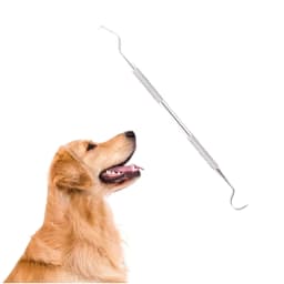 Stainless Steel Pet Tooth Cleaning Tool, Used To Remove Stains and Tartar. Dental Endoscopic Care Set for Dogs and Cats