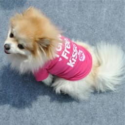 Sweet Print Puppy Dog Tshirt Vest Spring Autumn Cotton Pet Clothes for Small Dogs Poodle Yorkshire Teddy Shirts Mascotas Outfits