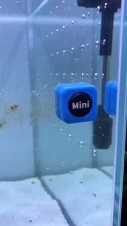 Aquarium Glass Cleaner Strong Magnetic Algaes Magnet Cleaning Tool Scraper Mini Floating Brush for Small Fish Tank