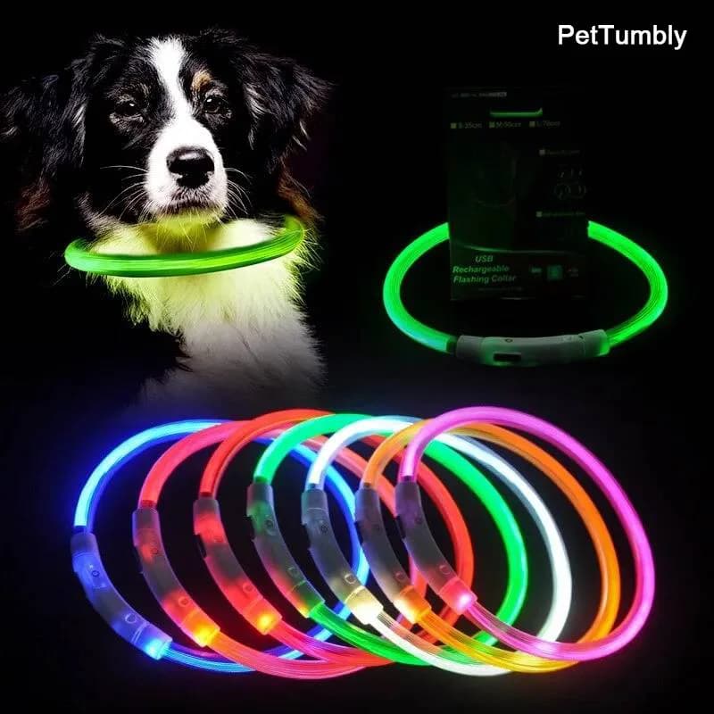 Led Usb Dog Collar Pet Dog Night Luminous Charge Collar Led Night Safety Flashing Glow Dog Loss Prevention Collar Pet Accessorie