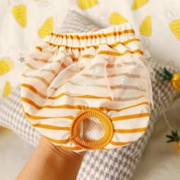 Pet Physiological Underwear Menstrual Pants Reusable Diapers for Dogs Cute Lace Floral Dog Heat Panties Female Chihuahua Shorts