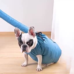 Portable Pet Drying Bag Folding Dog Hair Dryer Box Blow Bag Pet Grooming Dry Bag Dog Blowing Cat Bathing Pet Hair Drying Clothes
