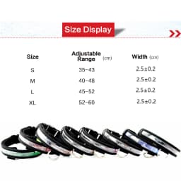 Engraved ID LED Dog Collar Luminous USB Custom Dog Tag Personalized Nylon Pet Dog Collar Led USB Light Night Safety Collar Perro